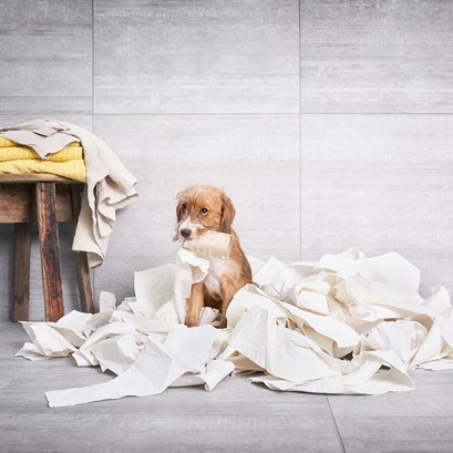 10fe814d-6491-4e2c-b854-c2f74060b330