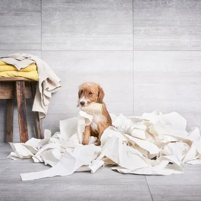 10fe814d-6491-4e2c-b854-c2f74060b330