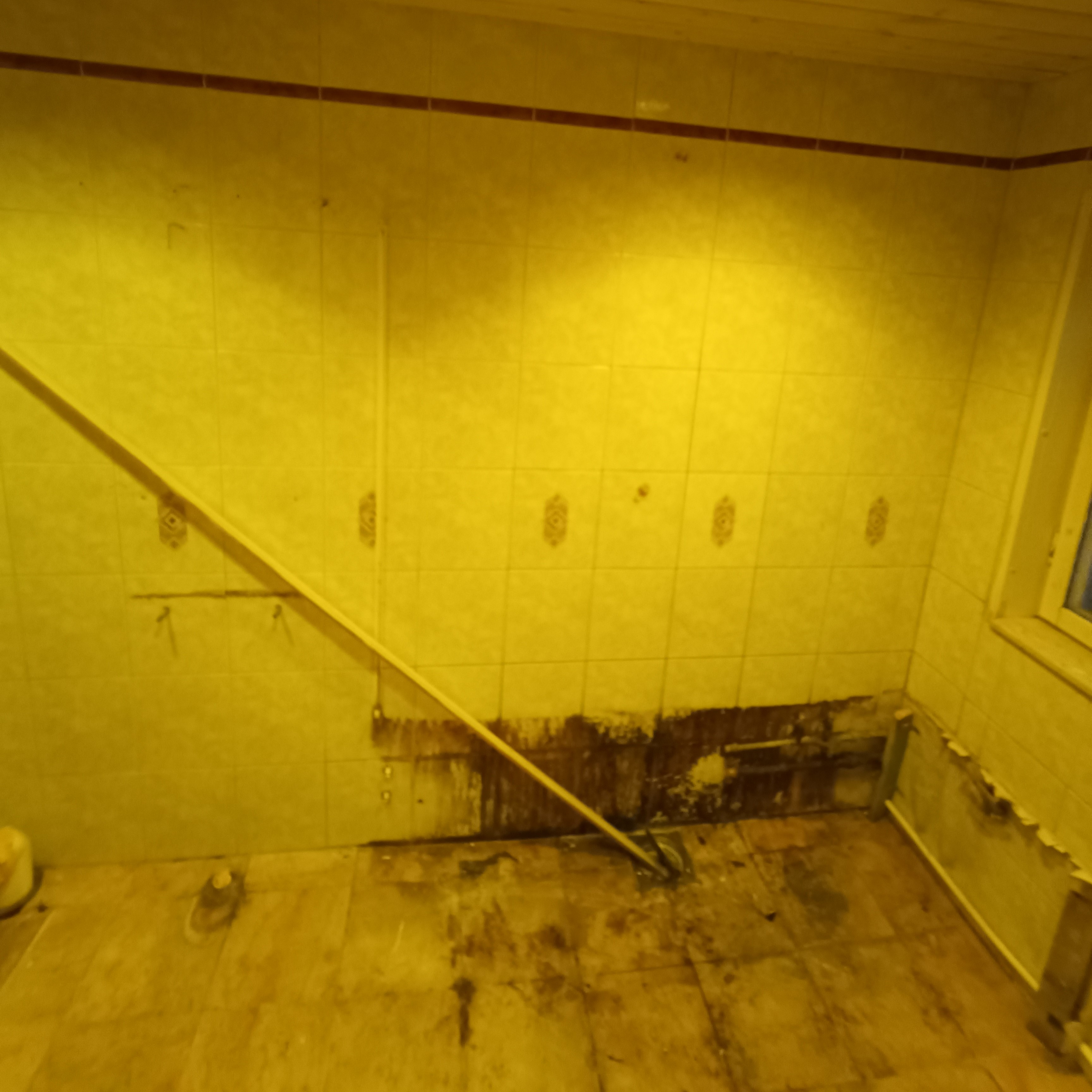 IMG_20231127_075748_755 kopia