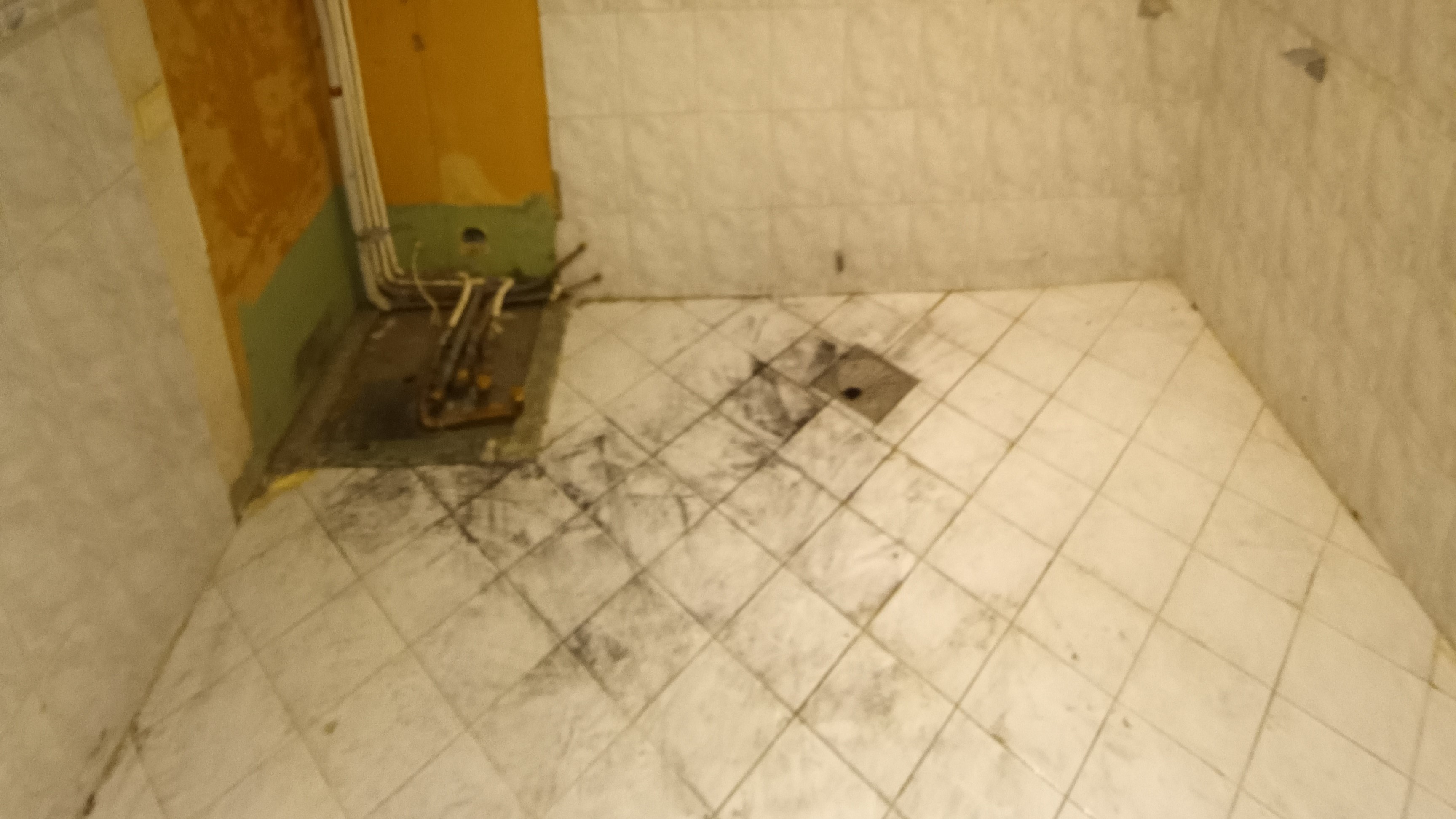 IMG_20240325_140204_756 kopia