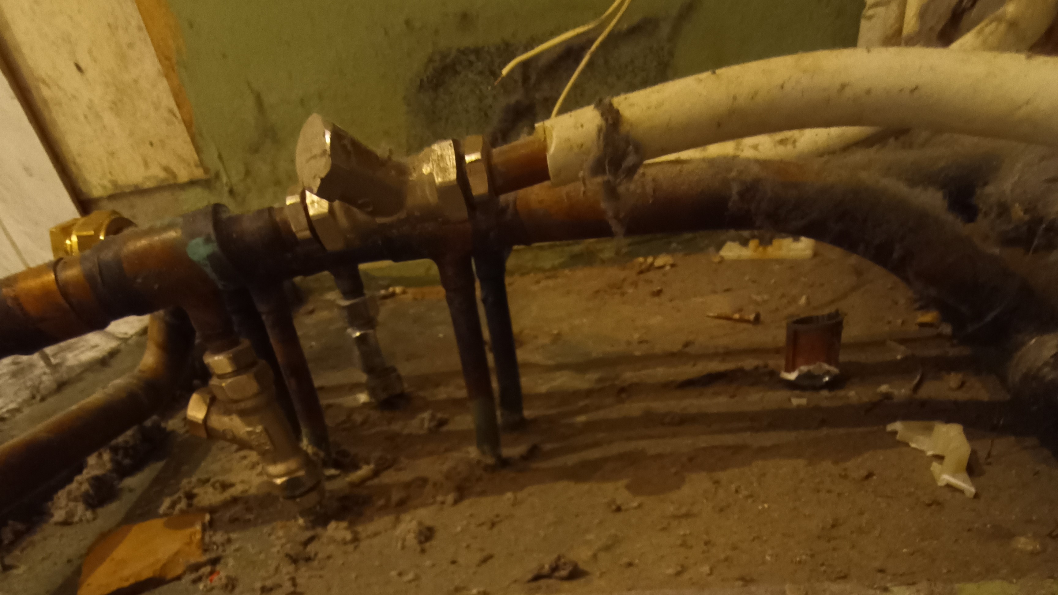 IMG_20240325_140234_997 kopia